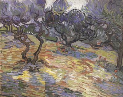Vincent Van Gogh Olive Trees:Bright Blue Sky (nn04) oil painting image